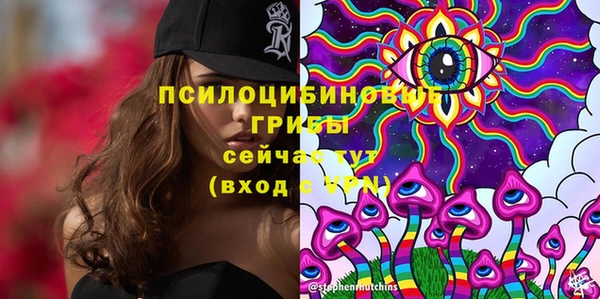ешки Армянск