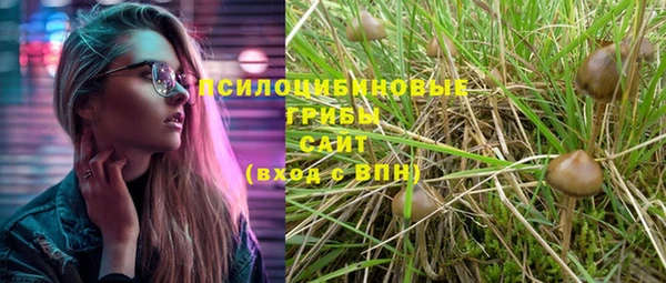 ешки Армянск