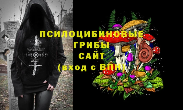 тгк Балахна