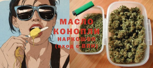 стафф Ельня