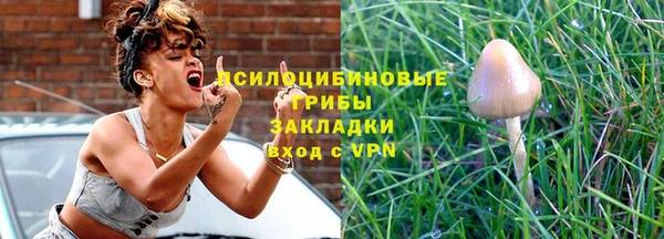 apvp Арсеньев