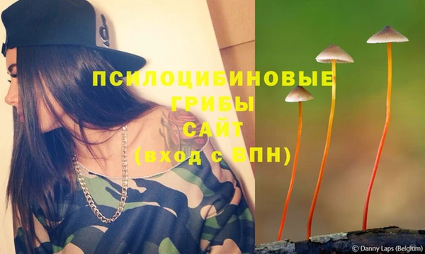ешки Армянск