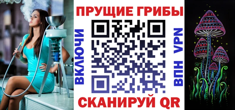 закладка  МЕГА   Галлюциногенные грибы Psilocybe  Купино 